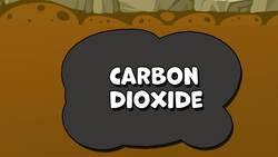 I WONDER - Can Wetlands Help With Climate Change? Instructional Video