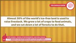 Beef Isn't Great for the Environment Instructional Video