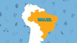 Five Facts- Rainforests Instructional Video