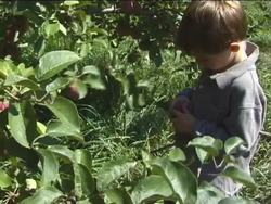 Investigating Earth's Natural Resources: Summing Up Instructional Video