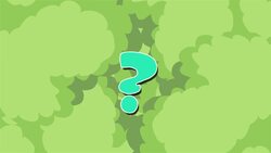 I WONDER - How Did Hedgehogs Get Their Name? Me Pregunto - Cómo Obtuvieron Los Erizos Su Nombre? Instructional Video