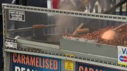 Natural History Museum at Christmas News Clip