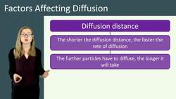 Factors Affecting Diffusion and Fixed Law Instructional Video