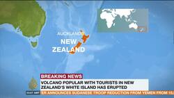 Tourists injured after volcanic eruption in New Zealand News Clip