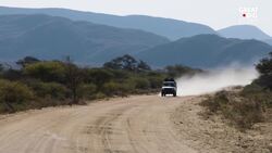 Observe the Most High-Stakes Blind Dog Date Ever Instructional Video