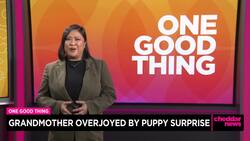 One Good Thing: Grandmother Overjoyed by Puppy Surprise News Clip