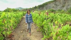 CLEAN : Drought hits yield but high mountain grapes sweeter News Clip