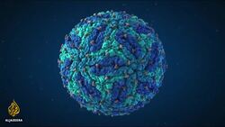 Cape Verde: Children with disabilities linked to Zika virus still suffering News Clip