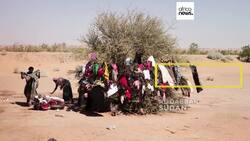 Pix of the Day: November 17, 2025 News Clip