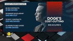 Musk's DOGE tracker logs government spending reductions News Clip