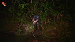 GIANT SCREAMING FROG! Instructional Video