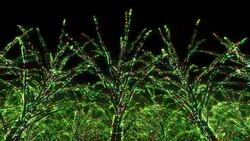 Neon Tree illumination Stock Footage