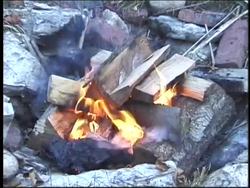 Forms of Energy Review Instructional Video