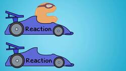 Enzymes (Updated) Instructional Video