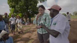 Instant DNA device helps farmers tackle disease before crop dies News Clip