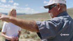 In Real Life: America’s Wild Horse Problem News Clip