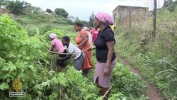 South Africa: Death toll rises to over 300 in KwaZulu-Natal floods News Clip