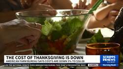 Thanksgiving meals expected to be cheaper in 2024 as turkey prices drop News Clip