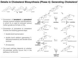 Cholesterol Biosynthesis Stage 4 Conversion of Lanosterol to Cholesterol Instructional Video