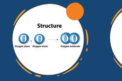 The Atmosphere: Oxygen Instructional Video