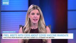 President Meets With CEOs About Vaccine Mandate News Clip