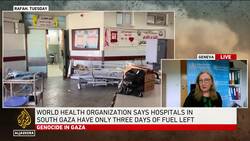 War on Gaza: ‘Please, please have a ceasefire now,’ WHO says News Clip