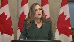 Freeland 'sympathetic' to U.S. trade concerns about Mexico News Clip