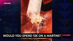 Would You Spend 13k On A Martini? Instructional Video