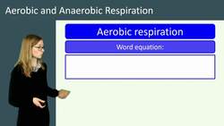 Aerobic and Anaerobic Respiration: Energy Production in Living Organisms Instructional Video