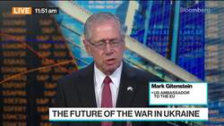 Ukraine Will Be Rebuilt, Says US Ambassador to EU Gitenstein News Clip
