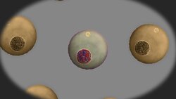 Discovering Life: Design Instructional Video