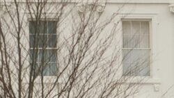 White House News Clip