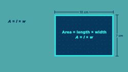 Use the Area Formula Instructional Video