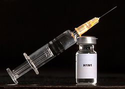 Immune Defence: Part 2 Instructional Video