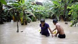 CLEAN : Floods hit Bolivia's indigenous communitie News Clip
