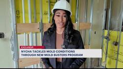 New program aims to tackle mold issues for NYCHA tenants News Clip