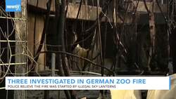 Three Women Investigated In Massive German Zoo Fire News Clip