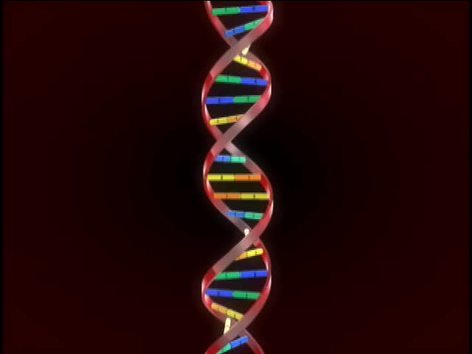 Genetics in Our Lives: Summing Up