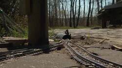 In the market for a new house and love trains? There’s a home in De Winton, Alta. for you News Clip