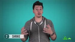 8 Creative Ways Animals Store Food Instructional Video