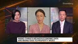 China Wont' Give Significant Stimulus for Housing: Wang News Clip