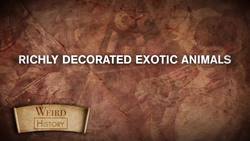 Discovery of the Aztec Emperor's Tomb Instructional Video