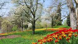 Alle Vögel sind schon da - Lied - Deutsch lernen Instructional Video