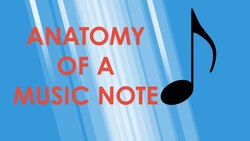 Anatomy of a Music Note - Music Theory Crash Course Instructional Video