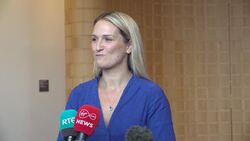 New citizens ‘important reciprocation’ over millions who emigrated – McEntee News Clip