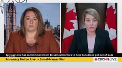 Flights out of Israel and Gaza will continue as long as situation allows, says foreign minister News Clip