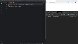 Frontend Web Development Bootcamp - Build a Twitter Clone - JavaScript Data types Instructional Video
