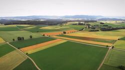 I WONDER - Why Do Farmers Grow Different Crops? Instructional Video