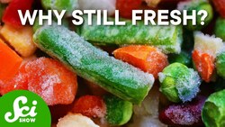 How Traditional Ice Fishing Led to the French Fries in Your Freezer Instructional Video