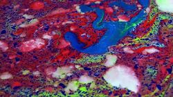 Abstract Colorful Mixing Oil And Paint Blasting Background Texture Stock Footage